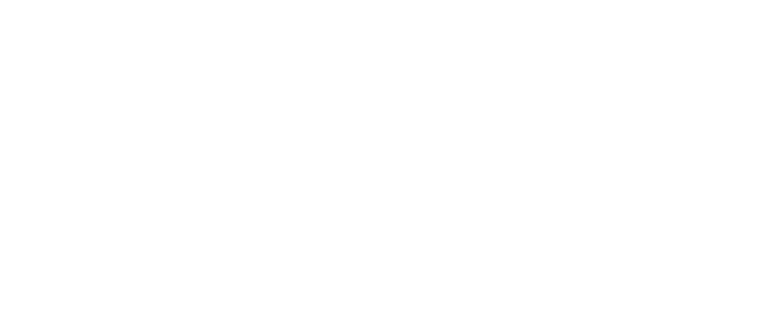 Logo Placo